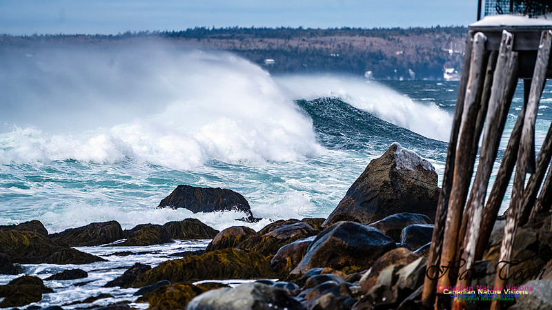 Bluster Day at the Coast 144