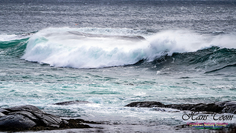 Bluster Day at the Coast 143