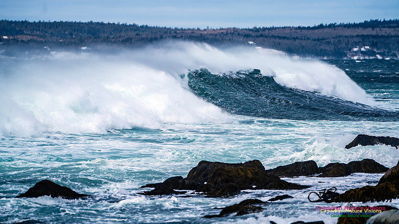 Bluster Day at the Coast 146