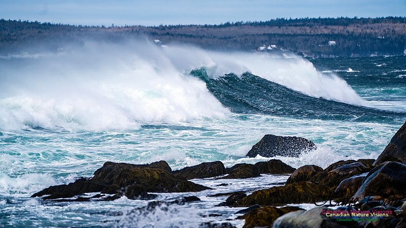 Bluster Day at the Coast 145