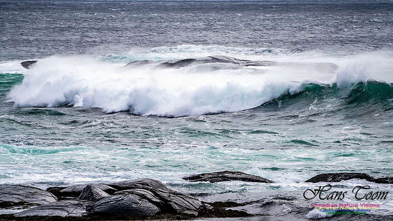Bluster Day at the Coast 142
