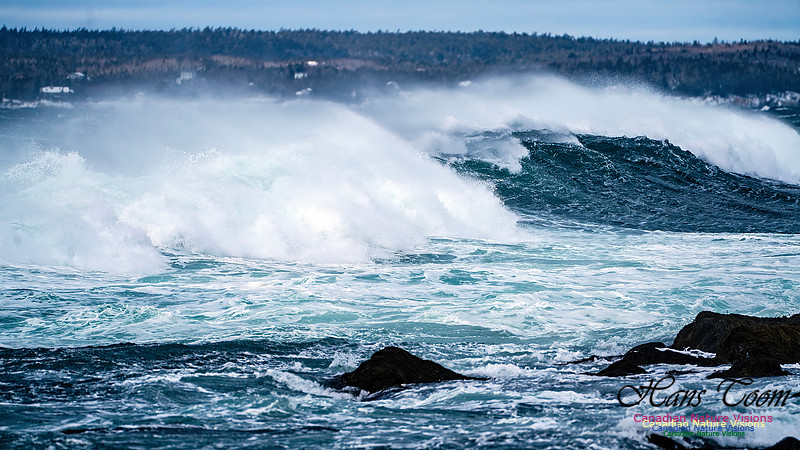 Bluster Day at the Coast 147