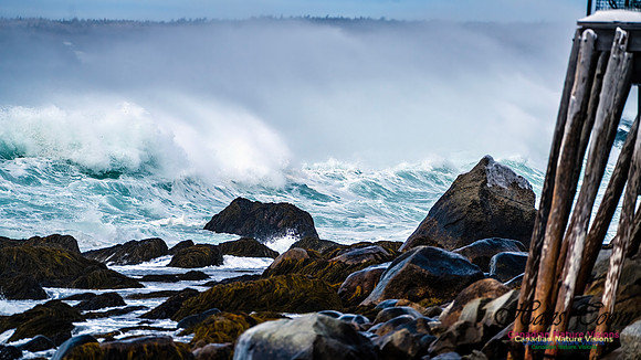 Bluster Day at the Coast 148