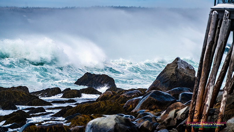 Bluster Day at the Coast 148