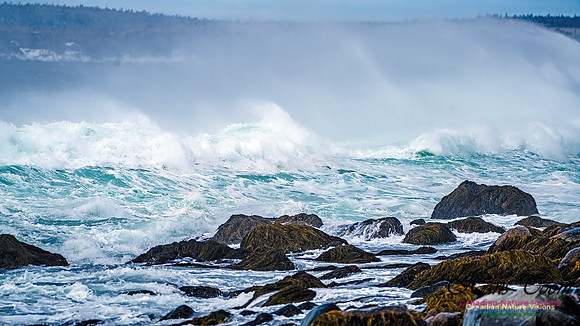 Bluster Day at the Coast 149