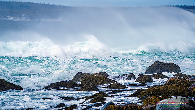 Bluster Day at the Coast 149