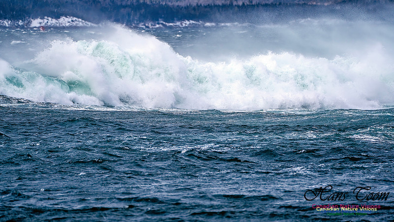 Bluster Day at the Coast 151