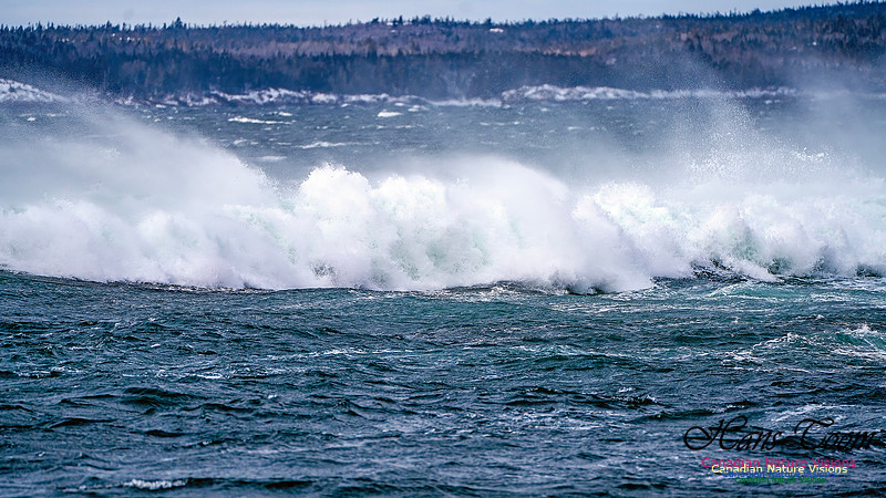Bluster Day at the Coast 150