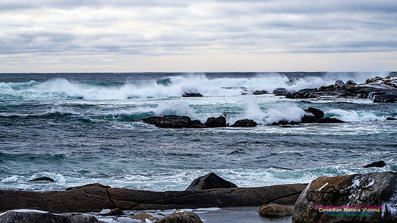 Bluster Day at the Coast 153
