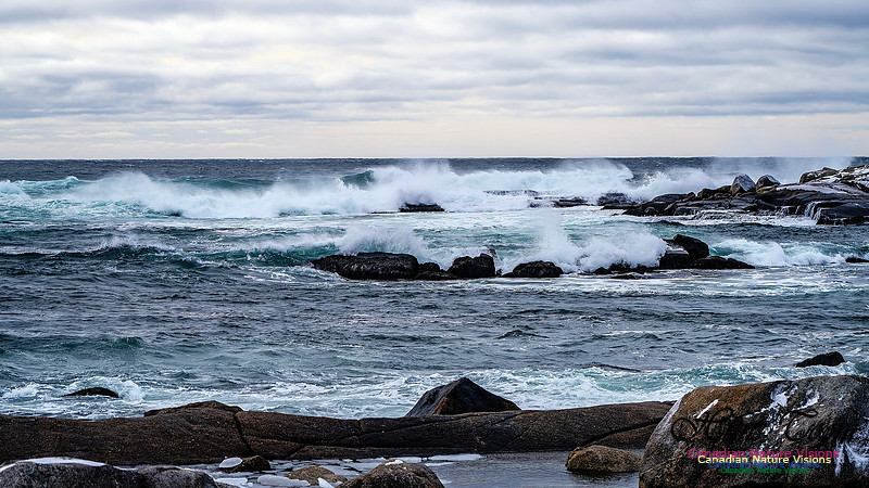 Bluster Day at the Coast 153