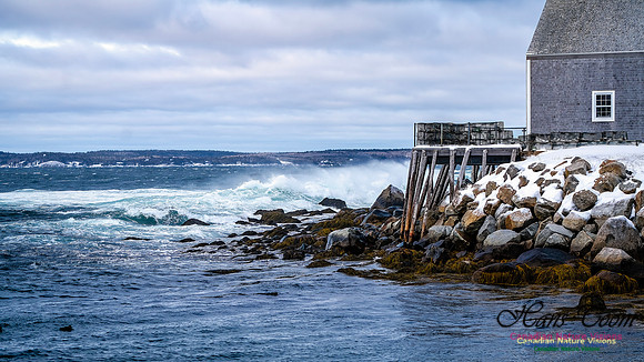 Bluster Day at the Coast 152