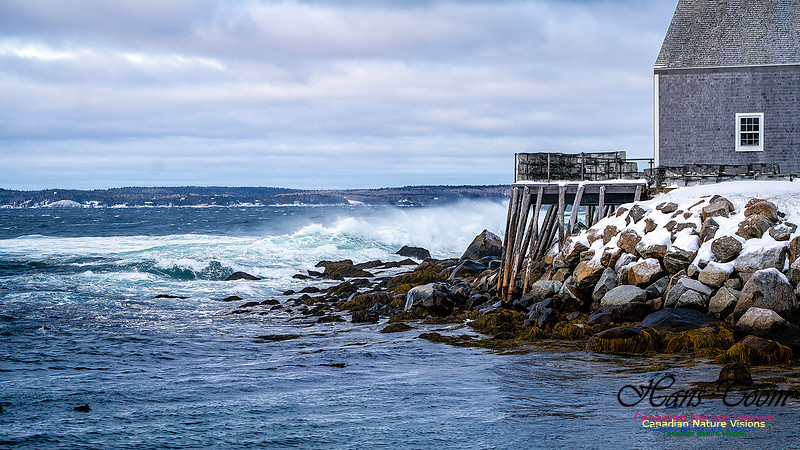 Bluster Day at the Coast 152
