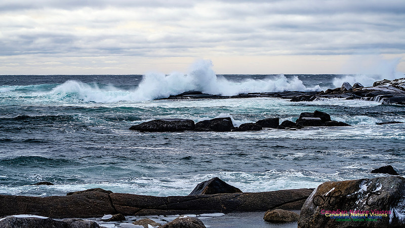 Bluster Day at the Coast 154