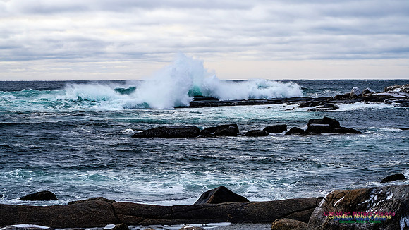 Bluster Day at the Coast 156