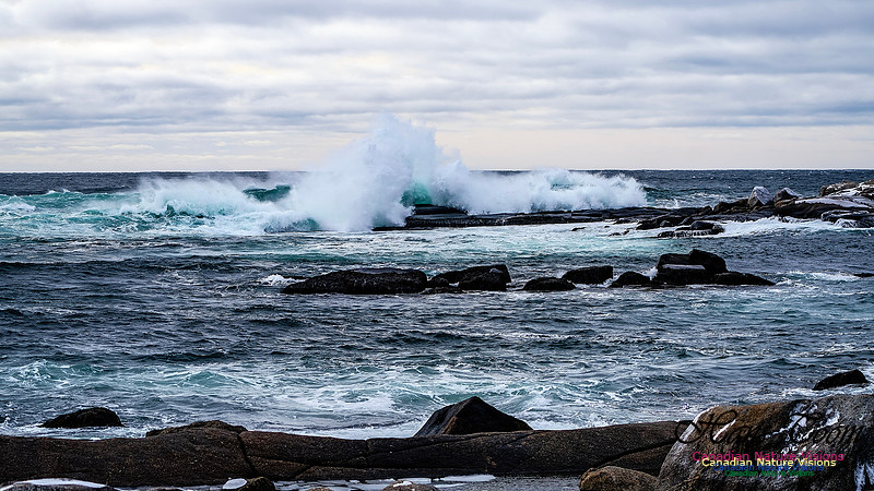 Bluster Day at the Coast 156