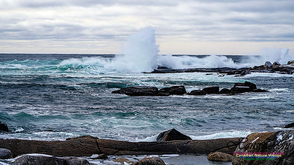Bluster Day at the Coast 155