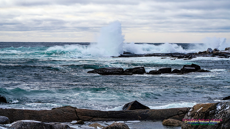 Bluster Day at the Coast 155