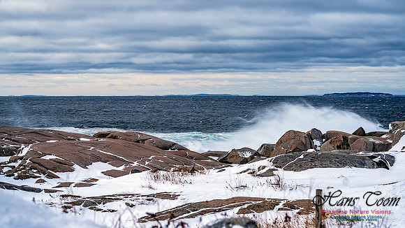 Bluster Day at the Coast 102