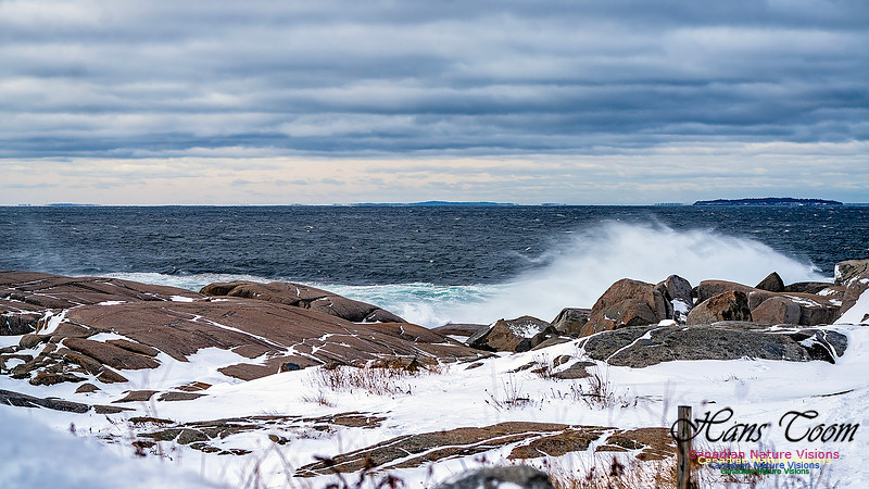 Bluster Day at the Coast 102