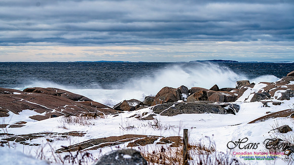 Bluster Day at the Coast 103