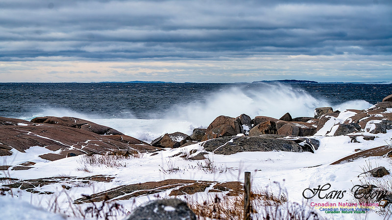 Bluster Day at the Coast 103
