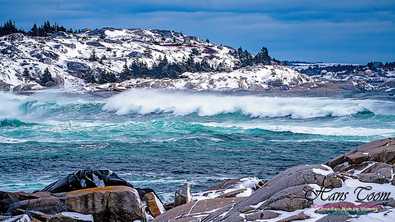 Bluster Day at the Coast 105