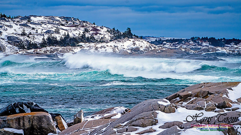 Bluster Day at the Coast 106