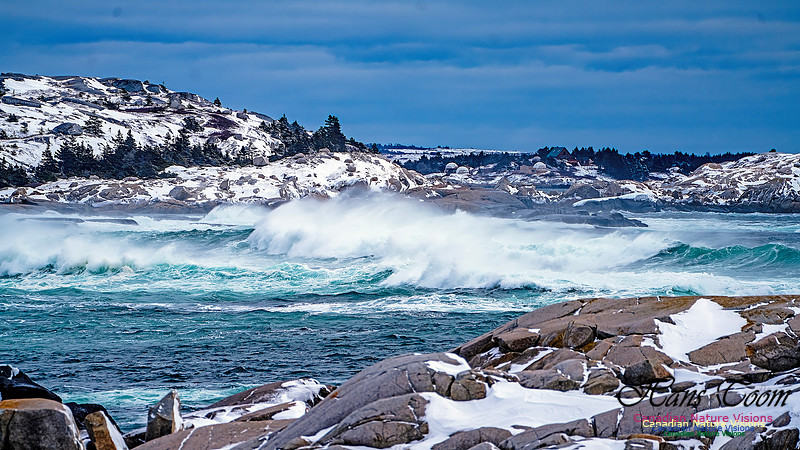Bluster Day at the Coast 107