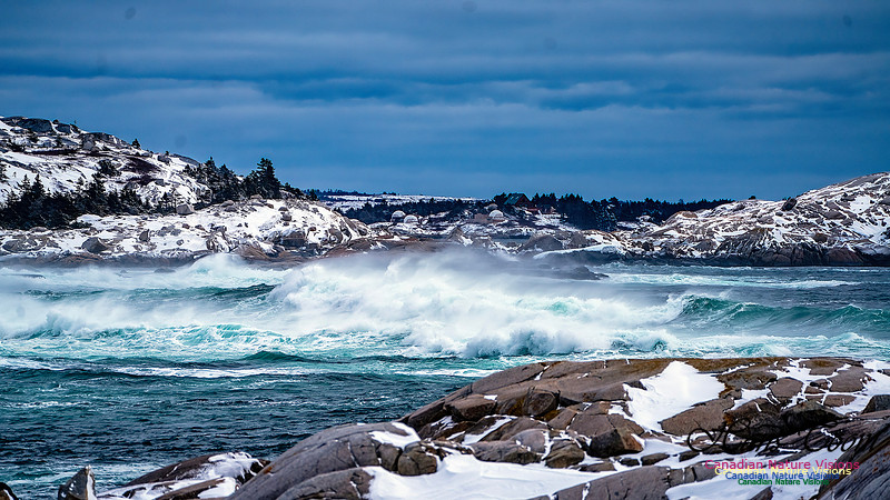 Bluster Day at the Coast 108