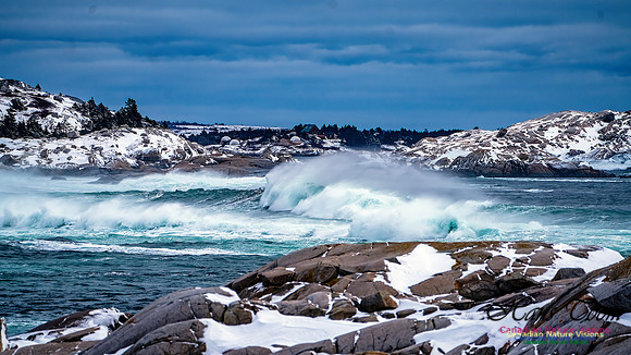 Bluster Day at the Coast 110