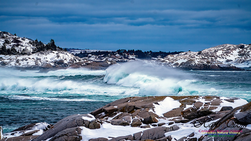 Bluster Day at the Coast 110