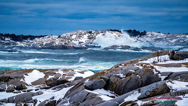 Bluster Day at the Coast 116