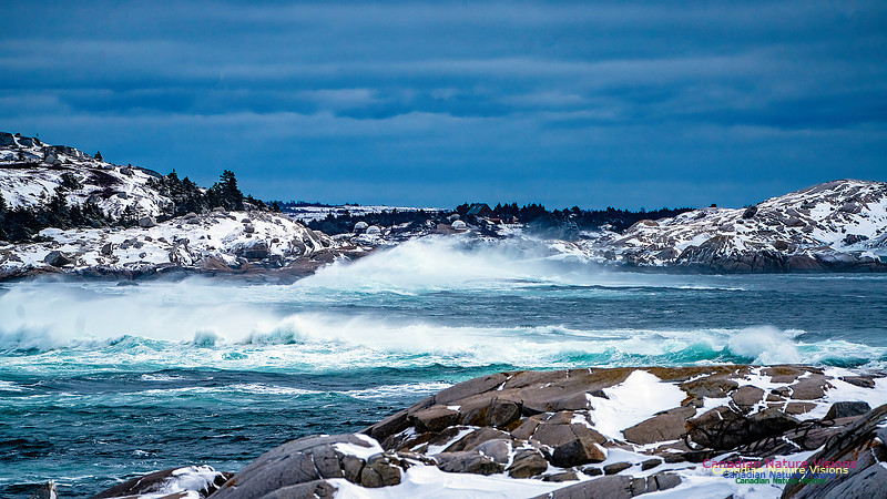 Bluster Day at the Coast 118
