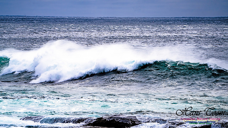 Bluster Day at the Coast 120