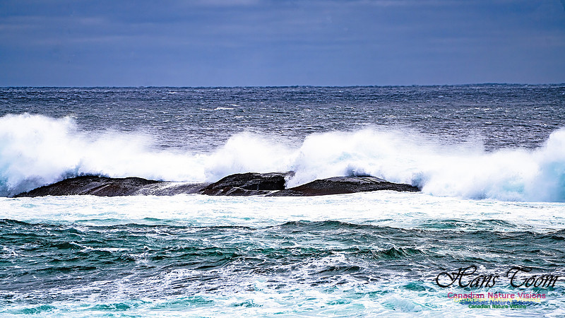 Bluster Day at the Coast 121