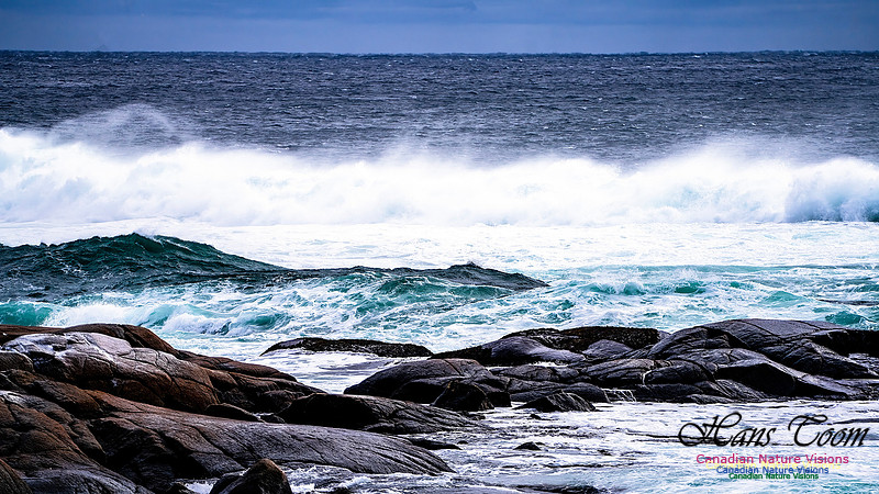 Bluster Day at the Coast 122