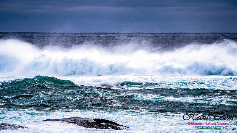 Bluster Day at the Coast 123