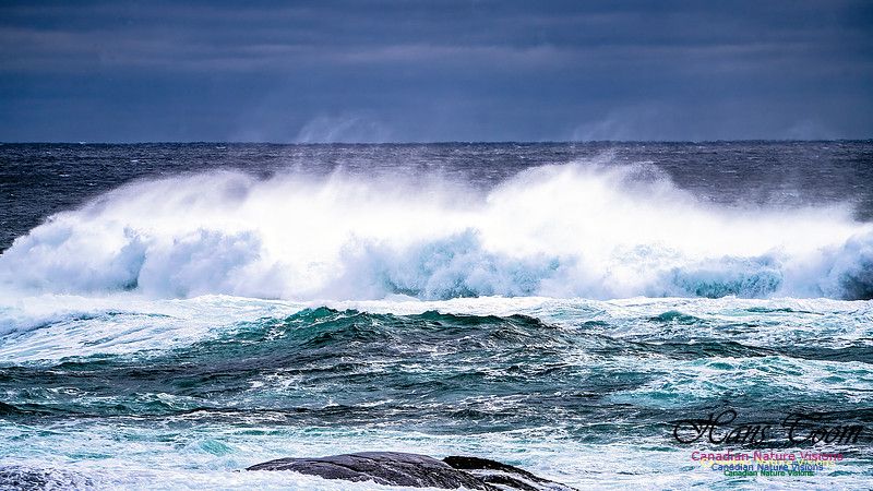 Bluster Day at the Coast 124