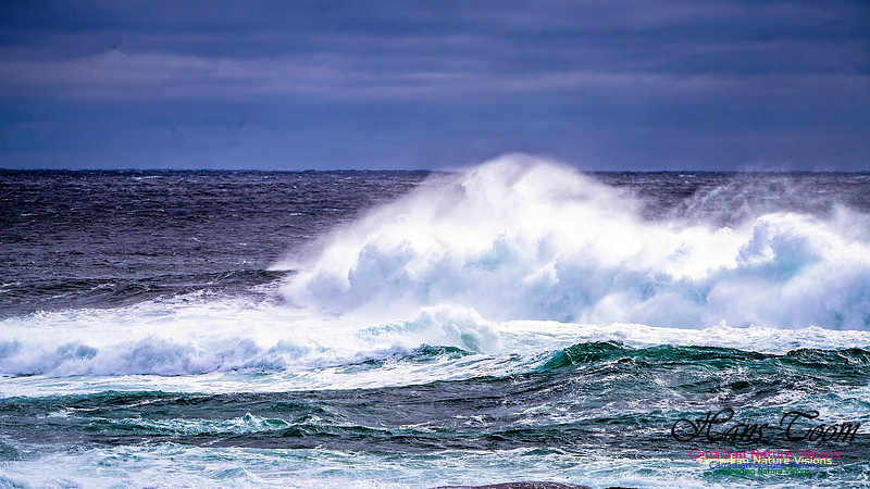 Bluster Day at the Coast 125