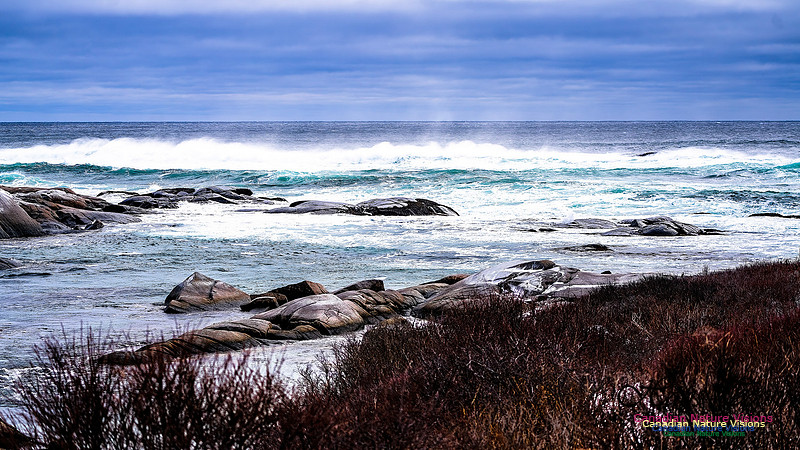 Bluster Day at the Coast 126