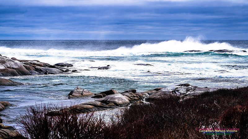 Bluster Day at the Coast 127