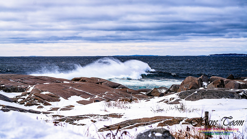 Bluster Day at the Coast 128