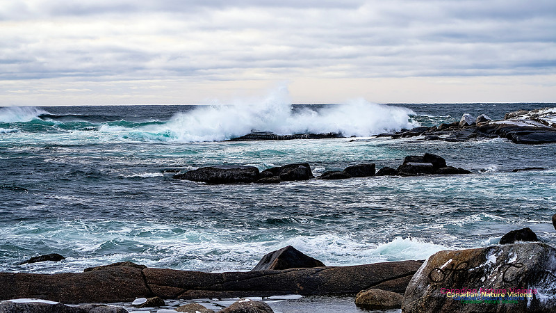 Bluster Day at the Coast 129