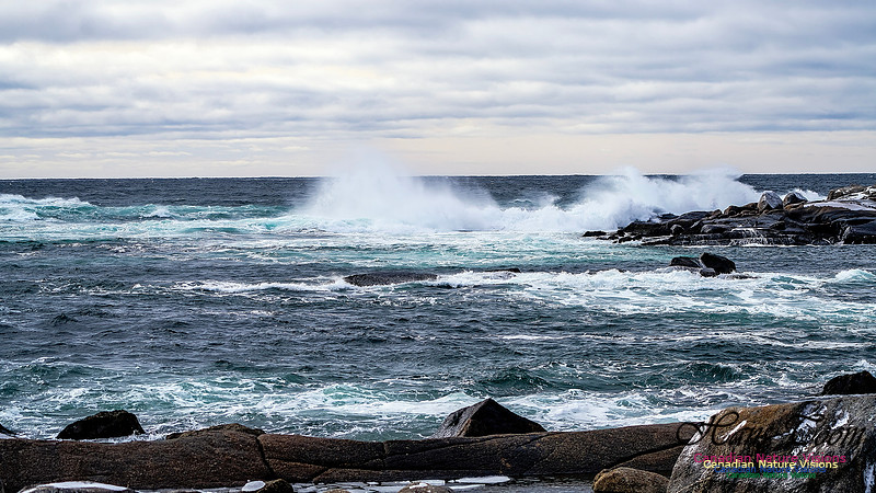 Bluster Day at the Coast 130