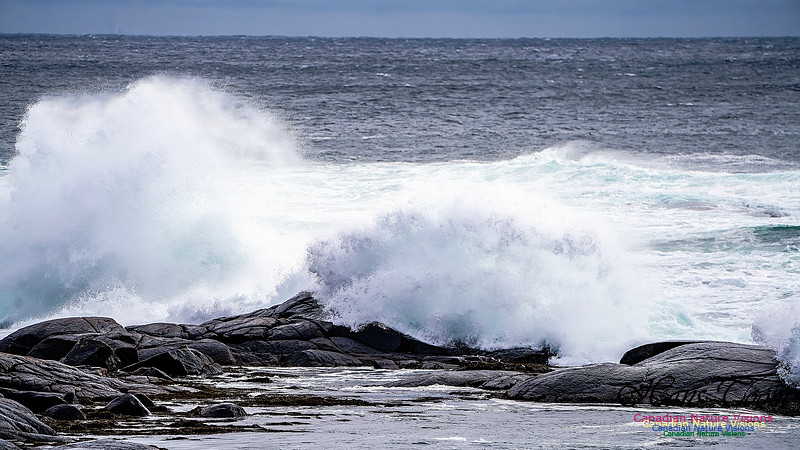 Bluster Day at the Coast 132