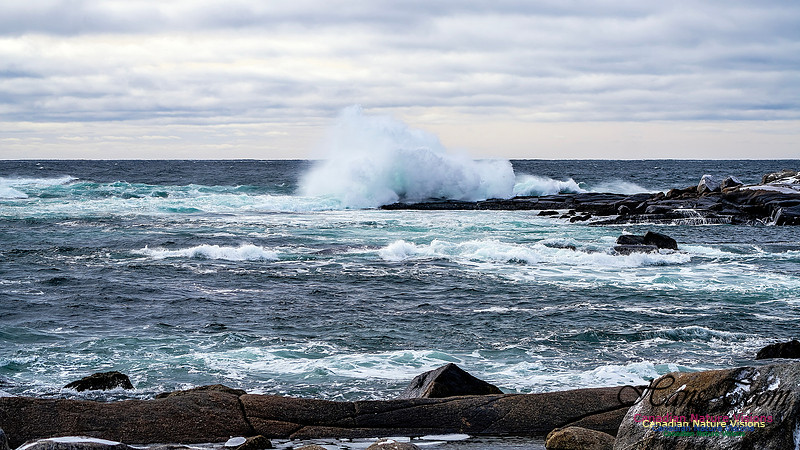 Bluster Day at the Coast 131