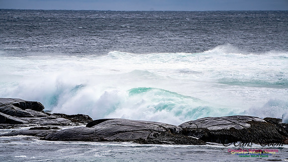 Bluster Day at the Coast 133