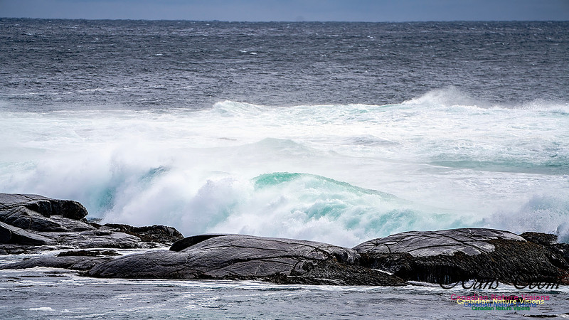 Bluster Day at the Coast 133