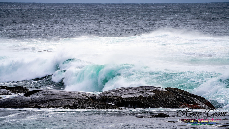 Bluster Day at the Coast 134