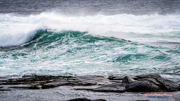 Bluster Day at the Coast 135